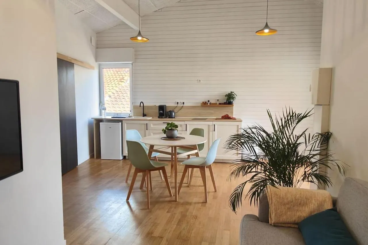 Apartmán Les Toits De Jean Jaures Carmaux